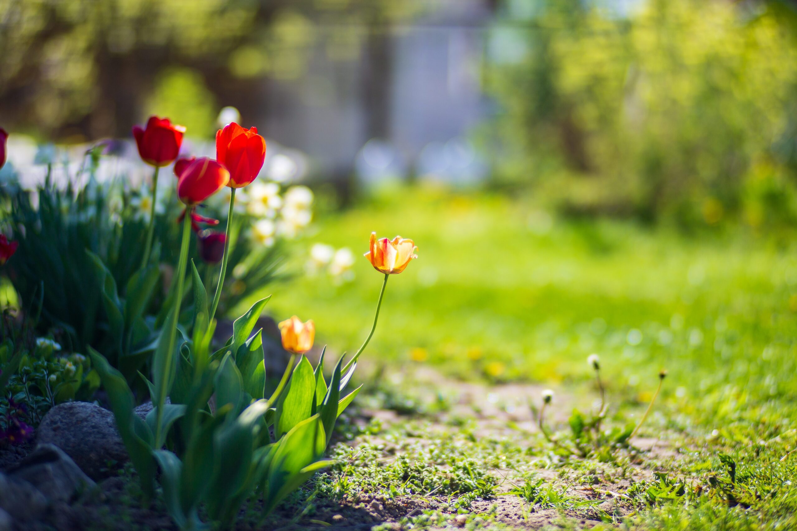 shutterstock 2304275521