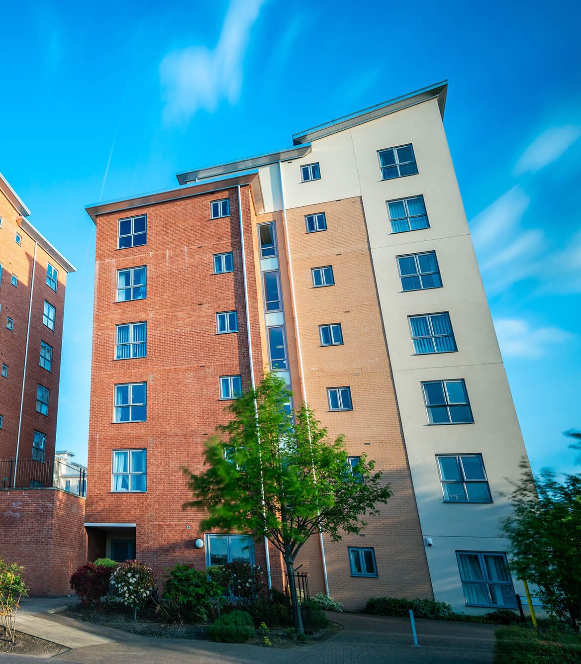 AdobeStock 267466548 (1)