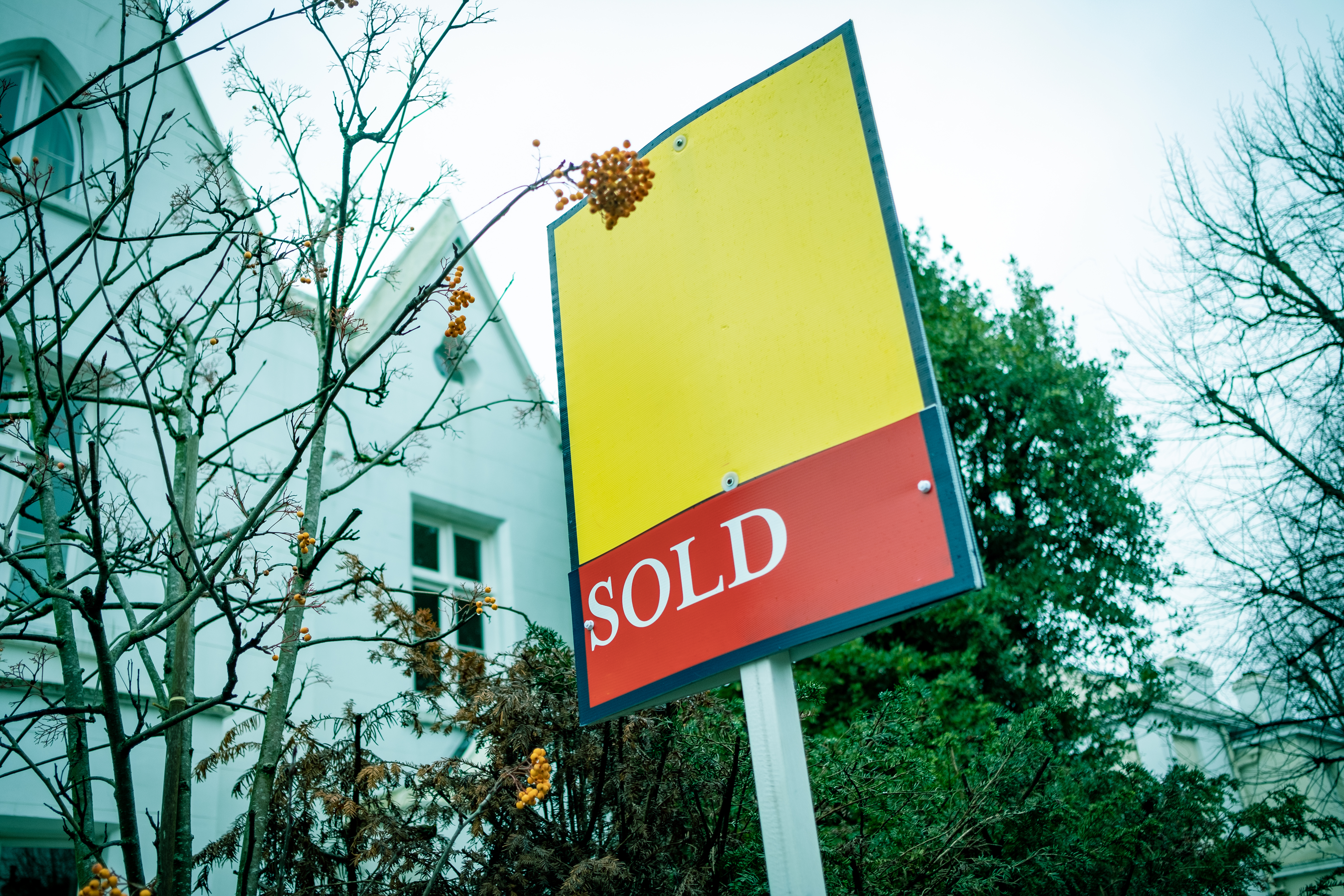 shutterstock 1909039837